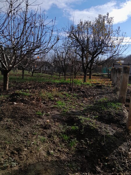 Stolniceni Prajescu vand casa